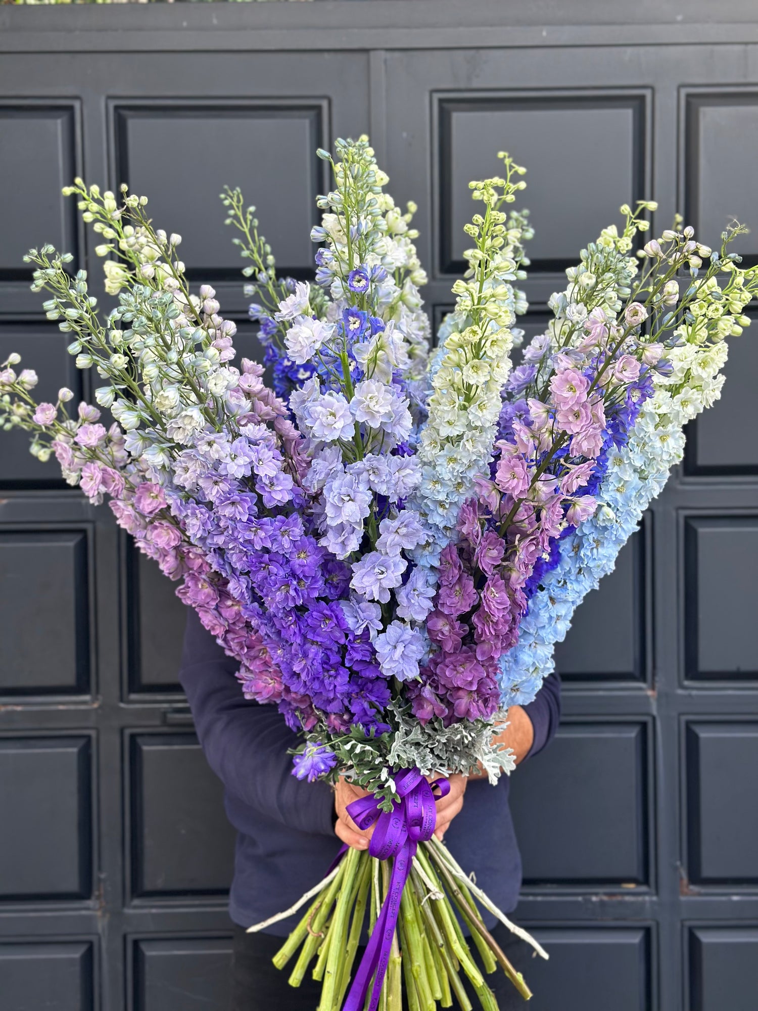 Dev Delfinium buketi