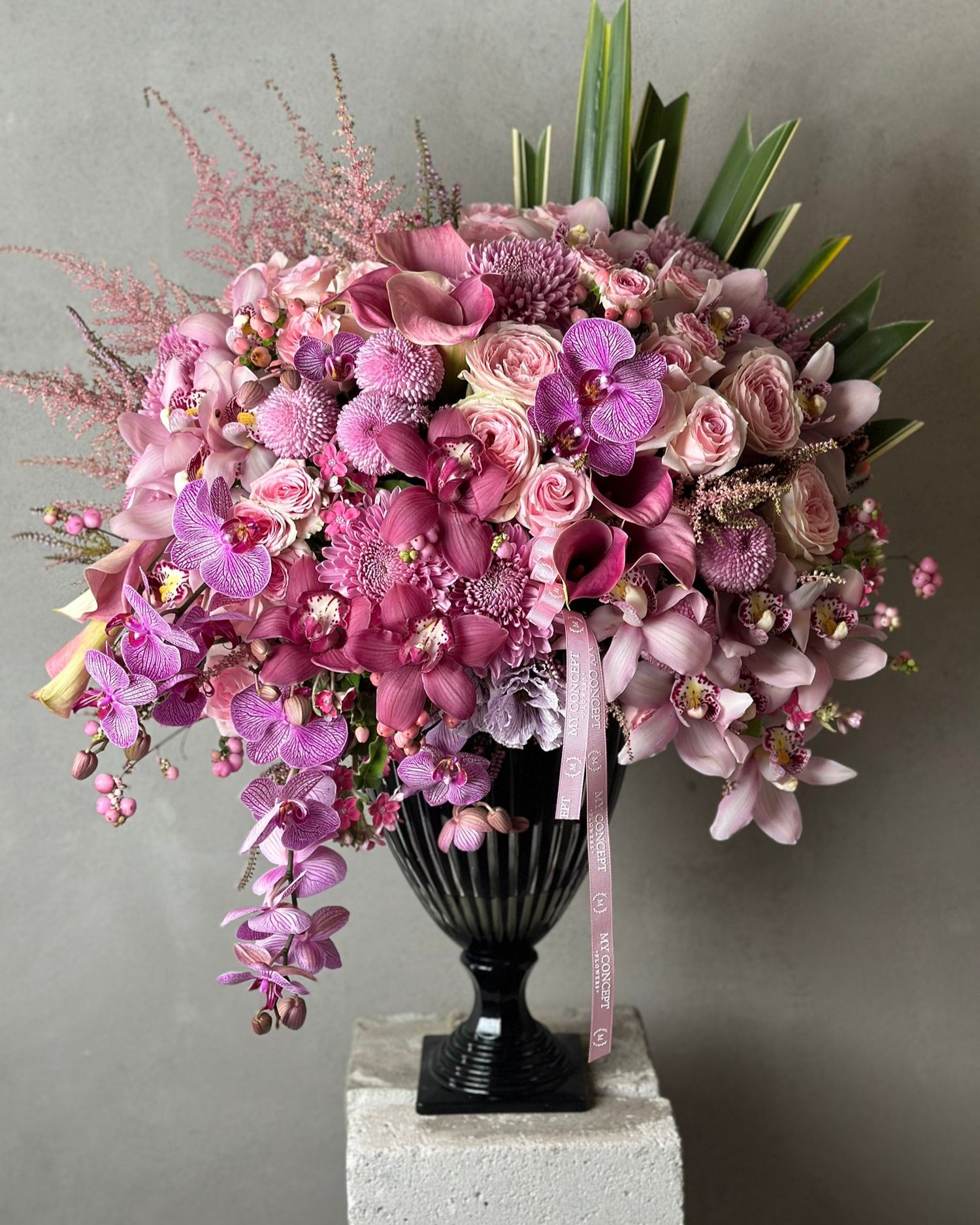 Phalaenopsis Çoklu Aranjman