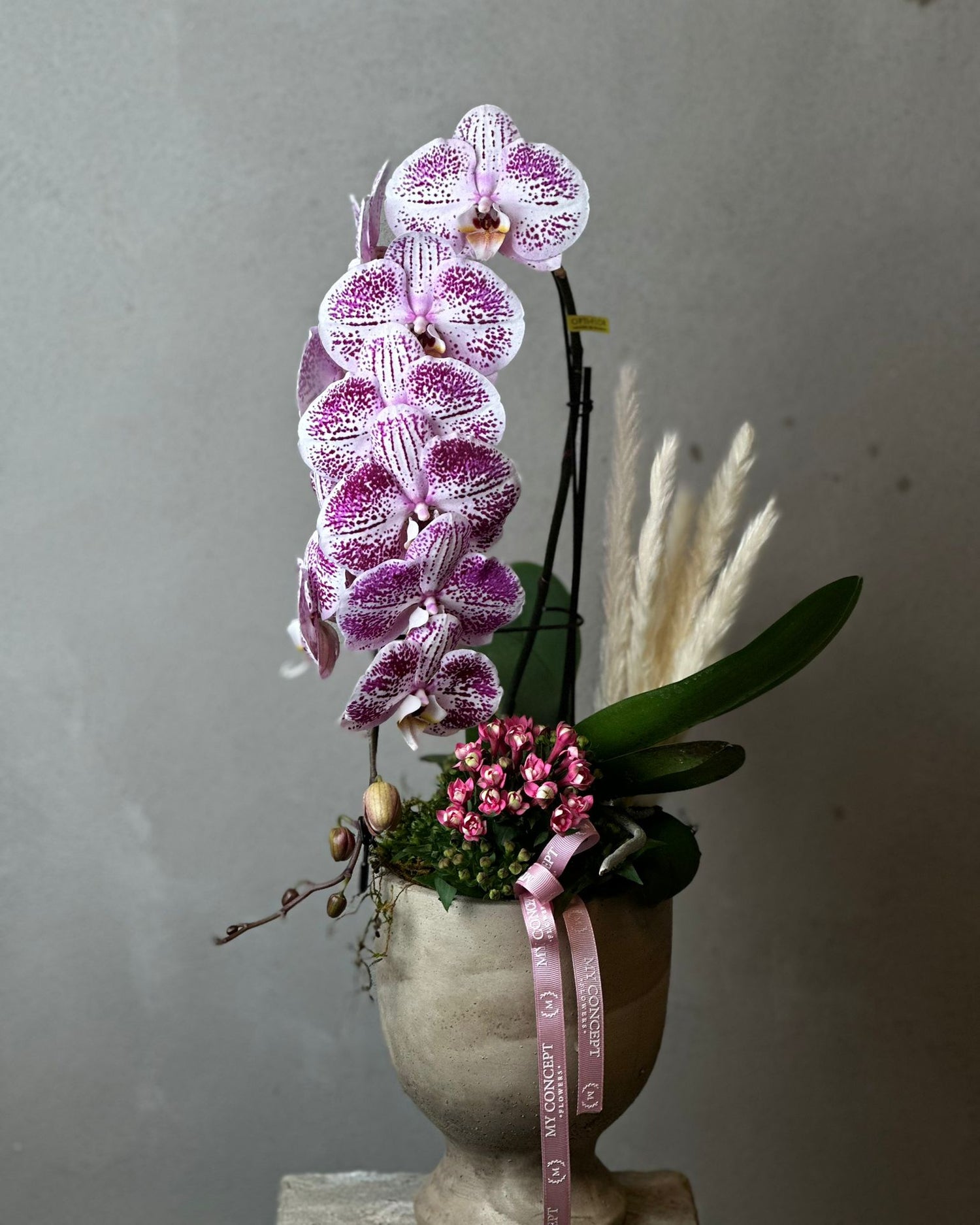 Pink Formidablo
