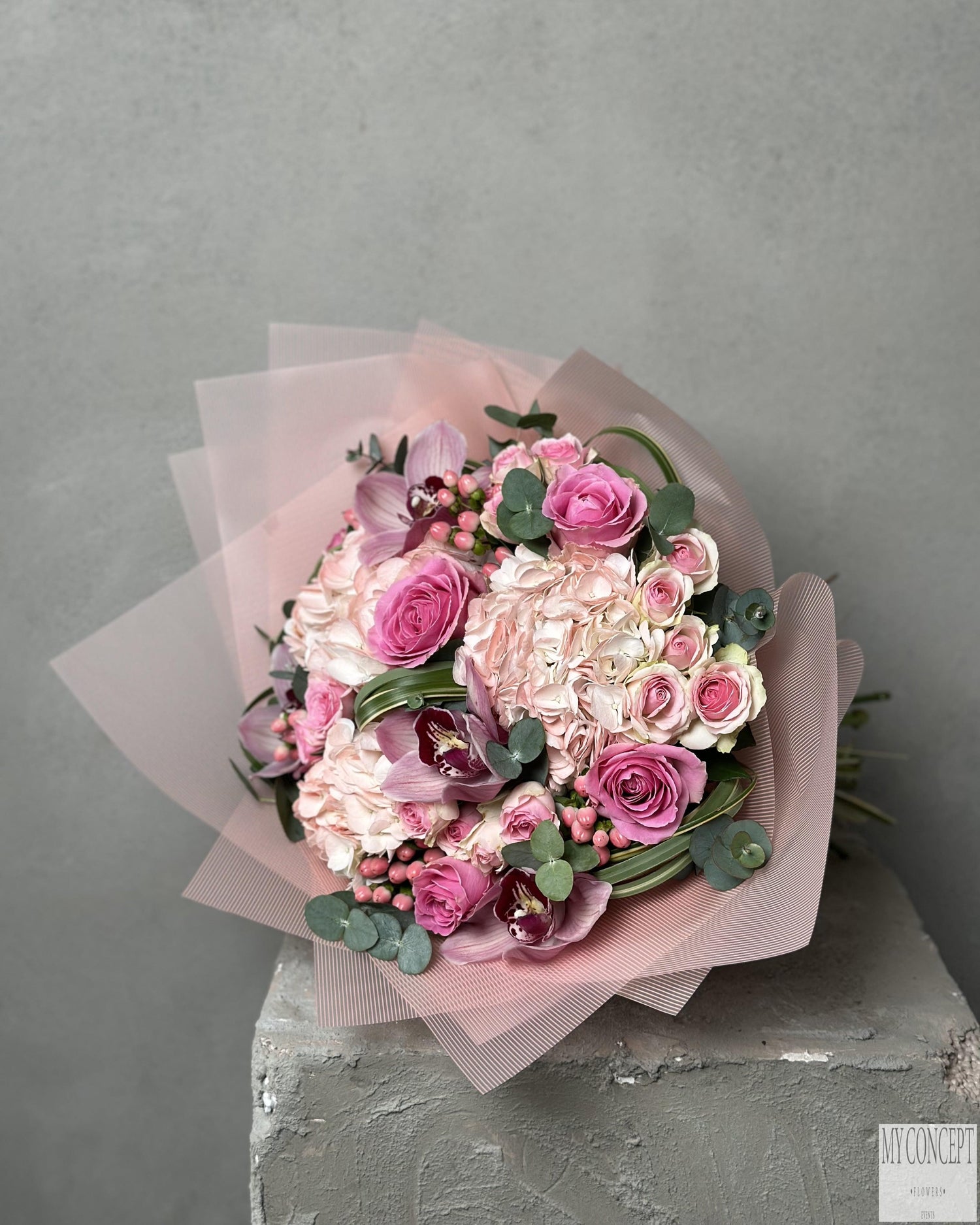 Hydrangea