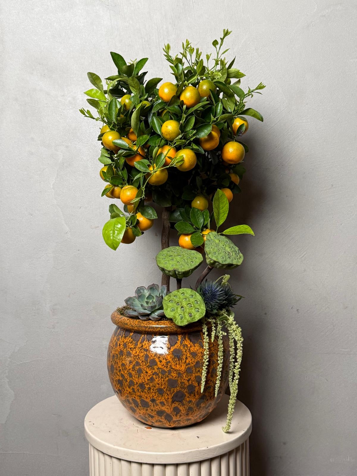 Citrus