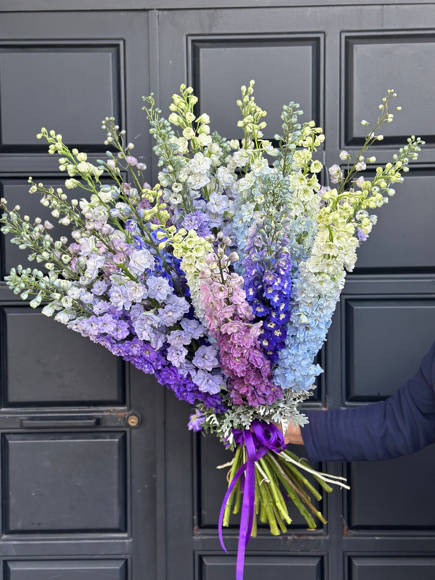 Dev Delfinium buketi