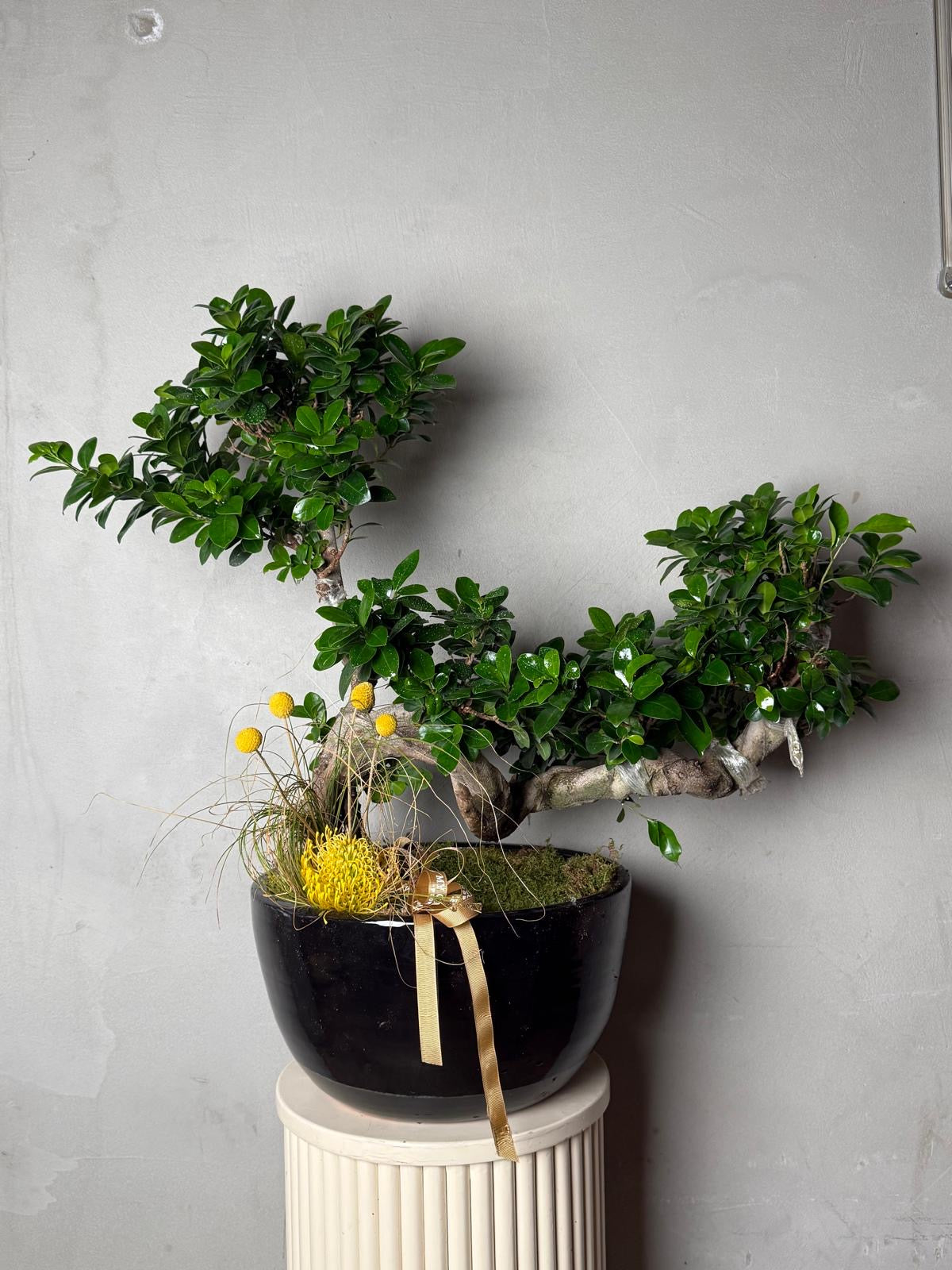 Greenery