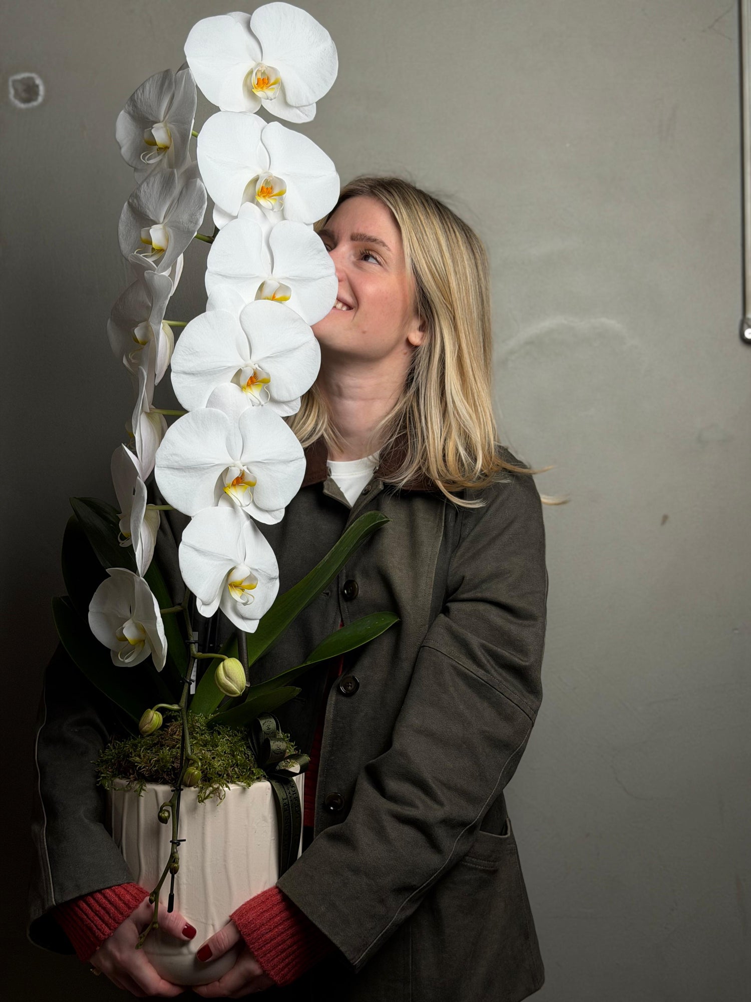Dev Formidable Orkide